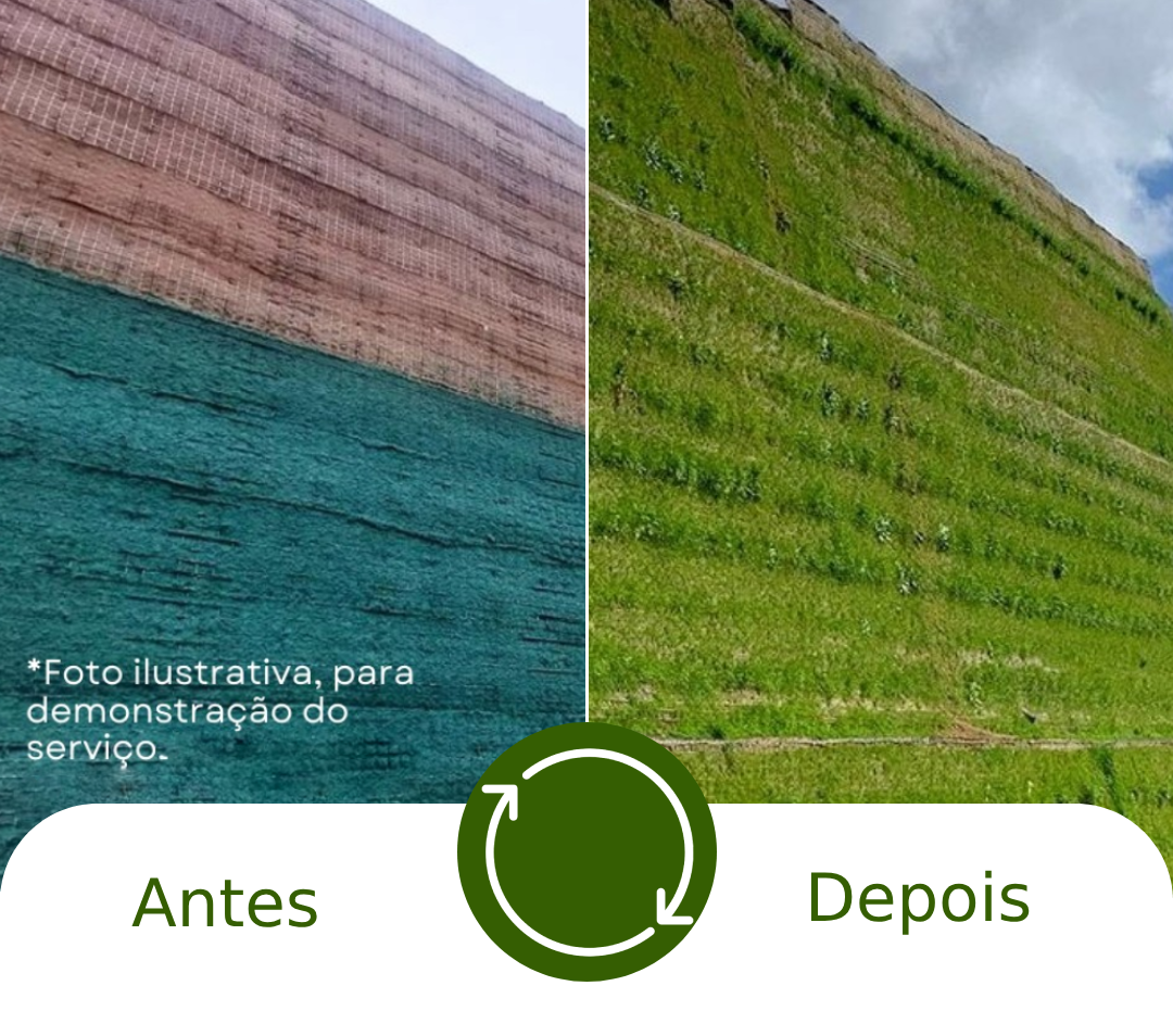 antesXdepois