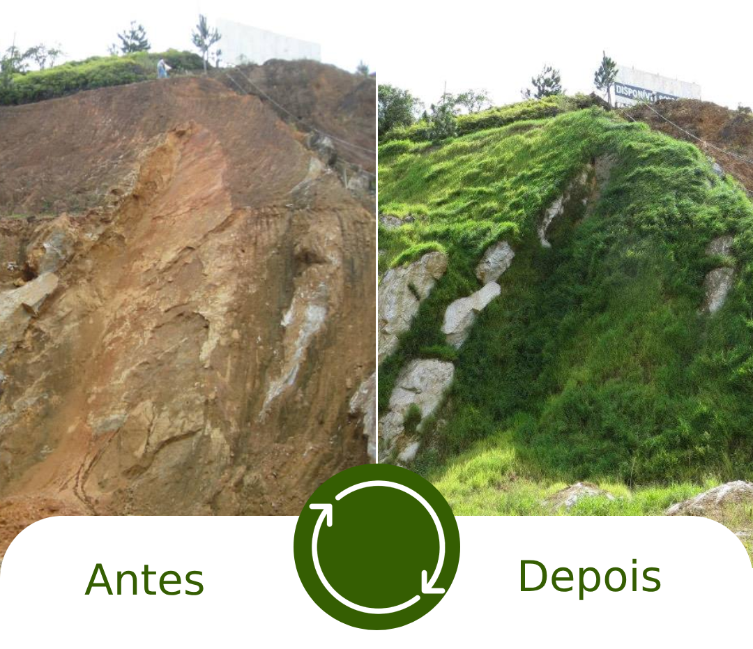 antesXdepois3