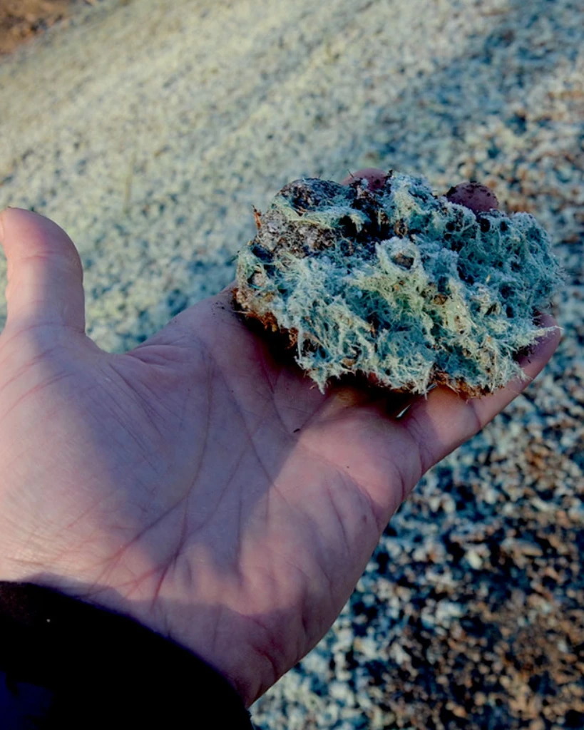 ecorevest hidrossemeadura (1)